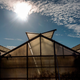 Here are some cannabis greenhouses near Santa Barbara, California on August 6, 2019. Imagine a future where all your weed is grown in tandem with solar energy generation.